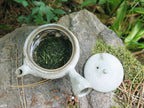 Kabuse Sencha