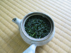 Kabuse Sencha